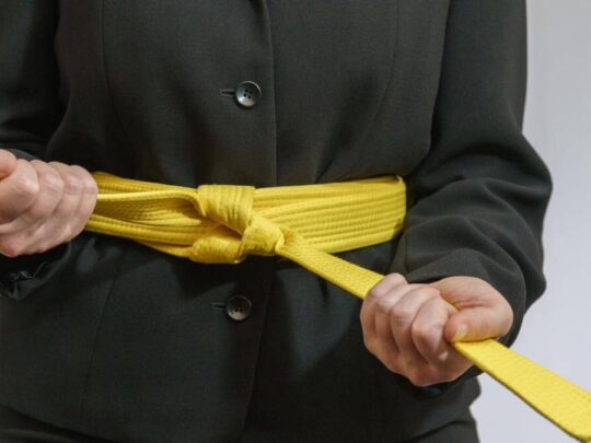 LSS Virginia Lean Six Sigma Yellow Belt LSS Virginia Lean Six Sigma Yellow Belt
