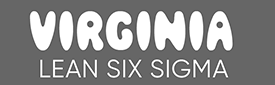 Virginia_LSS-logo